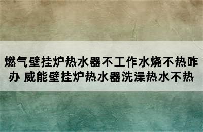 燃气壁挂炉热水器不工作水烧不热咋办 威能壁挂炉热水器洗澡热水不热